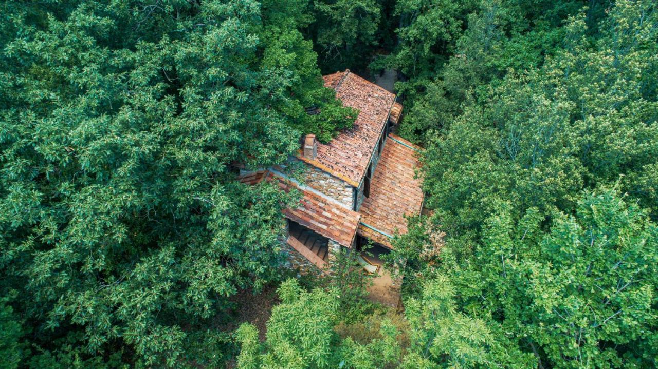La Cerreta - Terme Di Sassetta Villa Bagian luar foto